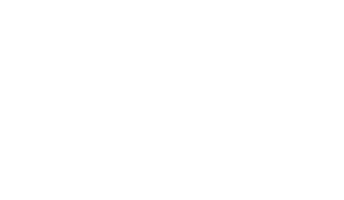 Blue Power Partners